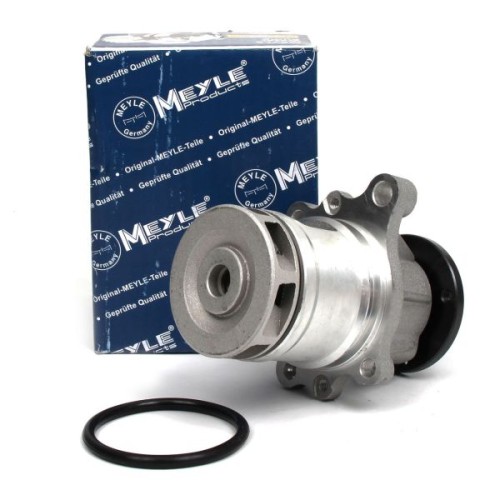 Bmw Serie 3 E46 Chasis M43 Motor Circulación Bomba Agua Meyle