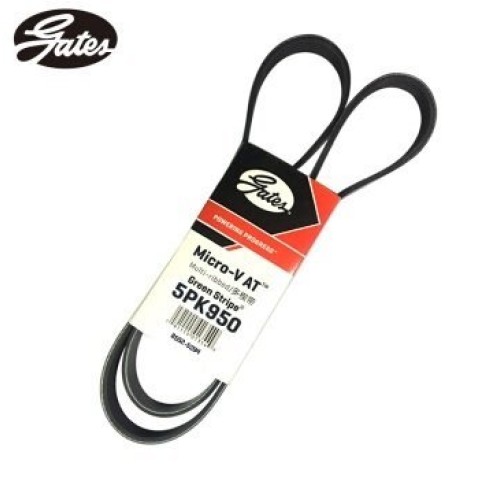 Bmw Serie 3 E46 Chasis 318i M43 Correa Aire Acondicionado 5PK 950 Puertas 5PK950