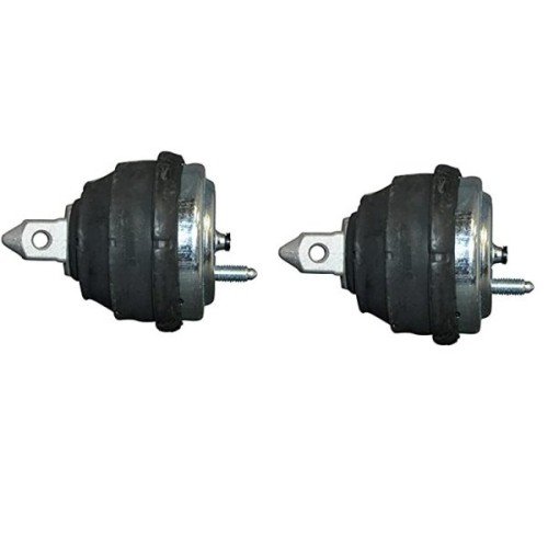 Bmw E39 Chasis 525d M57 Motor Juego De Orejas Derecha E Izquierda Vaico