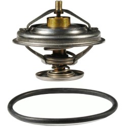 Bmw Serie 5 E39 Case 520i Termostato Sellado Behr