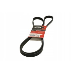 Bmw Serie X5 E53 Chasis 3.0d Correa V 5PK2020 Gates