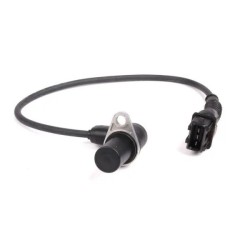 Bmw Serie 3 E36 Chasis 320i Sensor Arbol De Levas