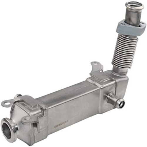 Bmw E60 Case 520d M47N2 Motor Enfriador EGR Radiador Behr