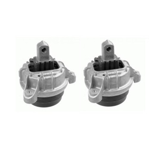 Bmw F10 Case 520d Motor De Vacío Juego De Orejas Derecha E Izquierda