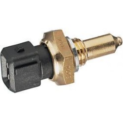 Bmw Serie 3 E46 Chasis 318i Sensor Temperatura Fae