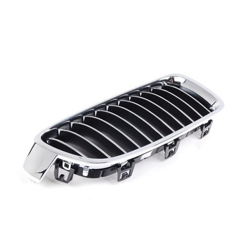 Parrilla BMW 51137263481