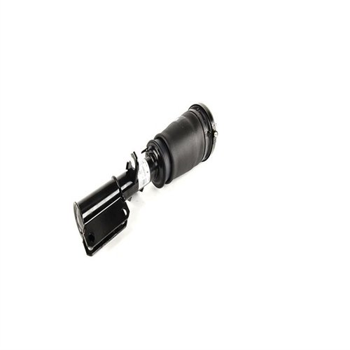 BMW Amortiguador Delantero Articulado Derecho E53 X5 37116761444