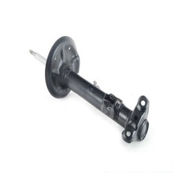 Amortiguador Bmw 19163bw 31311091773