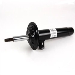 BMW Amortiguador Delantero Izquierdo E46 317537 31306757043