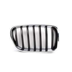 Parrilla BMW 51117210726