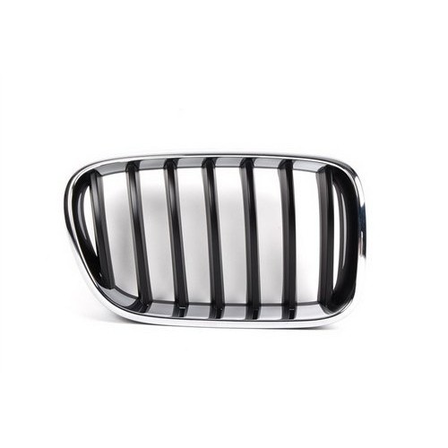 Parrilla BMW 51117210726