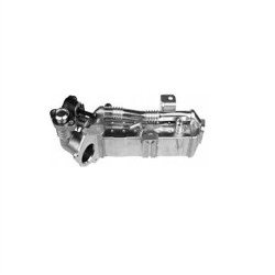 Radiador Egr BMW F20 F21 F22 F30 F15 E71 F16 Touring Gt Gt X1 X3 X4 X5 X6 V20630012 11717823210