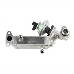 Radiador Egr Bmw E81 E87 E88 E90-E93 E60 E61 11717800653
