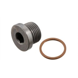Tapón del cárter BMW 20931702 07119905428