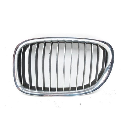 BMW Parrilla Solamente 7.60 Izquierda F02 51117195097