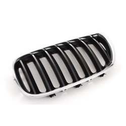 Rejilla Bmw 3.0 E53 X5 2004-2007 51137113733