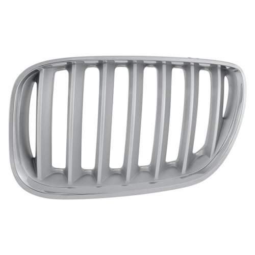 BMW Rejilla Titan Izquierda E53 X5 51137124815