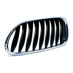 Parrilla BMW 51137051958