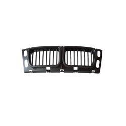 BMW Parrilla Central E34 520006101003 51138148727