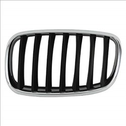 BMW Rejilla Negra Izquierda E70 E71 X5 X6 51137157687