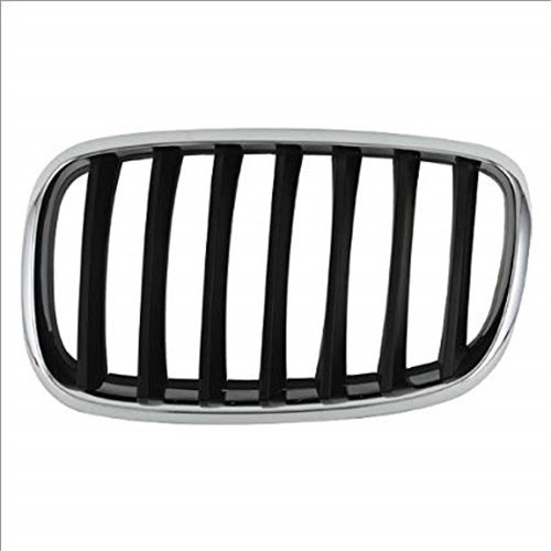 BMW Rejilla Negra Izquierda E70 E71 X5 X6 51137157687