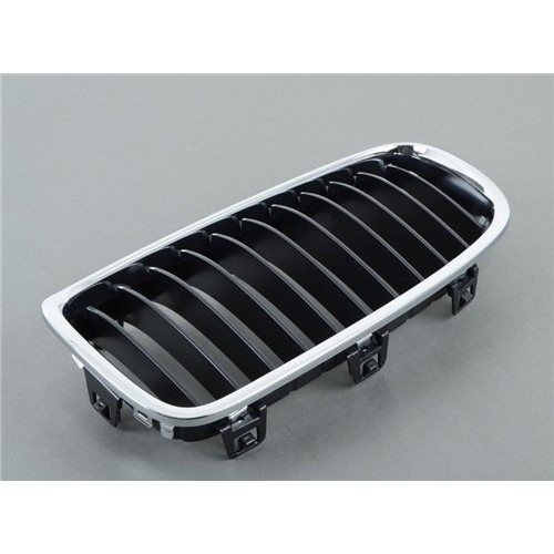 BMW Parrilla L 51137255411