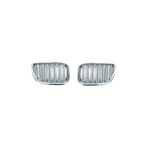 Parrilla BMW X5 LR Plata Cromada Set Modelo Antiguo E53 X5 51138250051 520006101026 51138402648