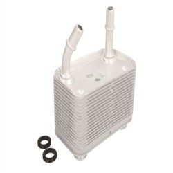 Radiador de aceite de transmisión BMW E53 X5 20100127 17207500754