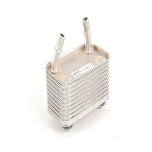 Radiador De Aceite De Transmisión BMW E53 X5 8mo376778191 Clc166000p 17207500754