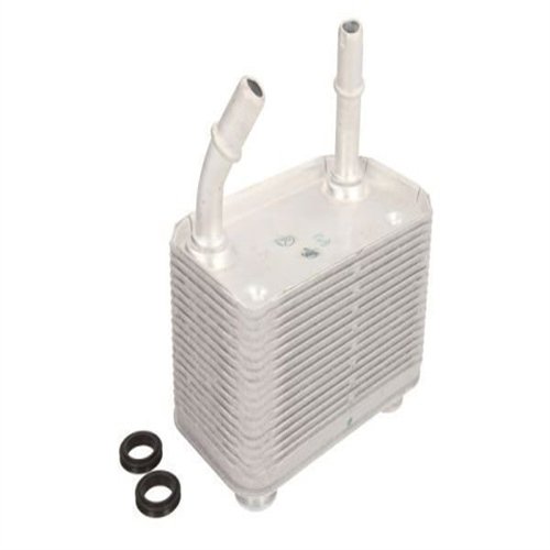 Radiador de aceite de transmisión BMW E53 X5 17207500754