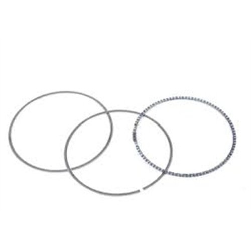 BMW Anillo Std M47n Estándar E87 E90 E46 E60 E83 E53 X3 X5 0681570000 11257798882