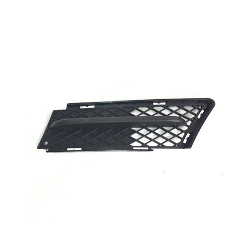 Rejilla Parachoques BMW E90 L 276593 51117154551