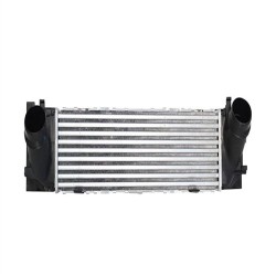 Radiador Turbo Bmw F20 F21 F22 F23 F30 F31 F34 F32 F33 F36 Touring Gt 17517600530 344825