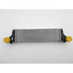 BMW Turbo Radiador E53 X5 17512247966