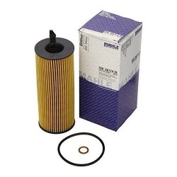 Filtro De Aceite Bmw E60-E93 F01 F16 F10 X5 X6 X3 X1 Z411427807177 Ox3614d 11427807177