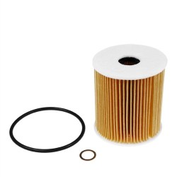Filtro de aceite BMW E38 E39 E46 E53 X5 4400212 11422247392