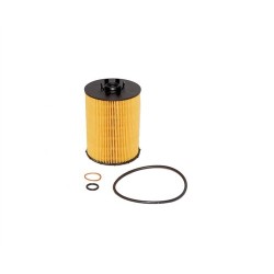 Filtro de aceite BMW E60 E61 E63 E64 E65 E66 E70 X5 11427542021