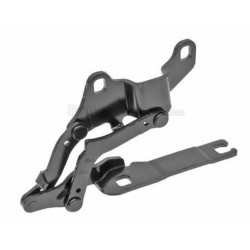 Bisagra de capó BMW E89 derecha 41007325860
